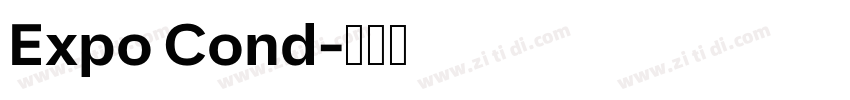 Expo Cond字体转换